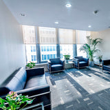 COB 3 Temperatura de color 12W 10 Piezas - Interled Mexico