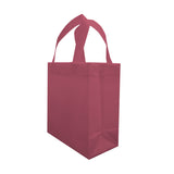 ECO SMALL BAG 20x24x11x11cm 100 Piezas (Sin Impresión)